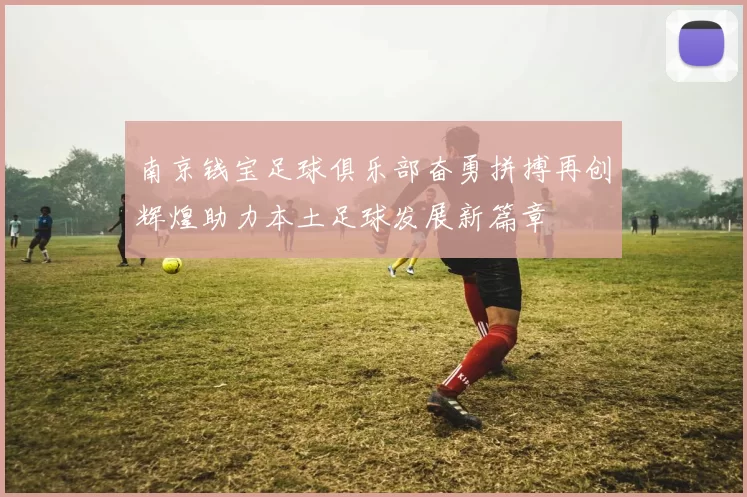 南京钱宝足球俱乐部奋勇拼搏再创辉煌助力本土足球发展新篇章