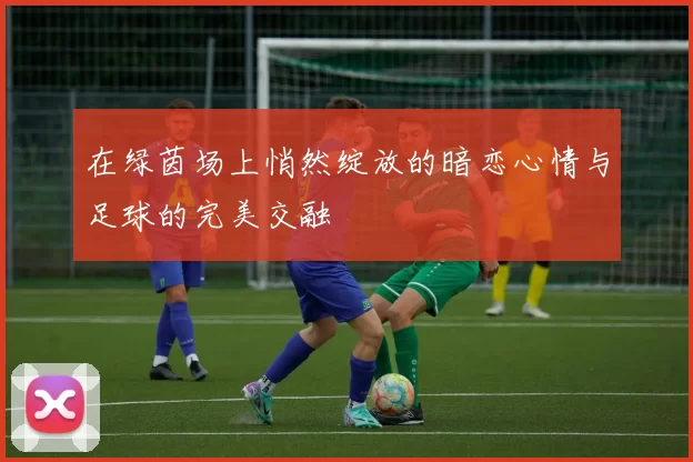 在绿茵场上悄然绽放的暗恋心情与足球的完美交融