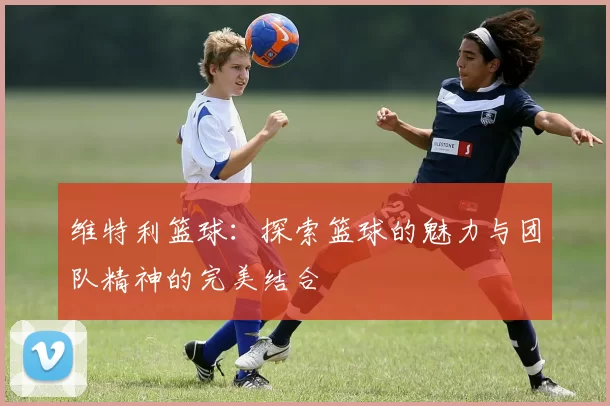 维特利篮球：探索篮球的魅力与团队精神的完美结合